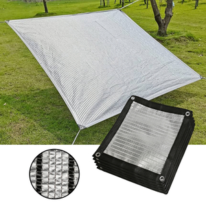 רשת לבנה חיצונית