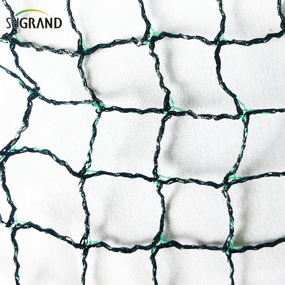 רשת ציפורים לעצי פרי רשת יונה שחורה וירוקה