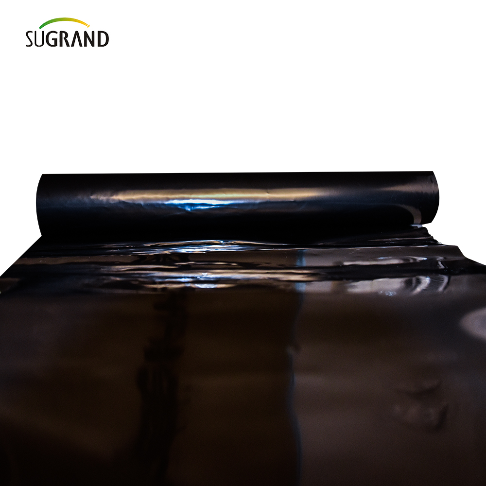 Garden Garden Mat Mat Agricultuer Flastic Mulch