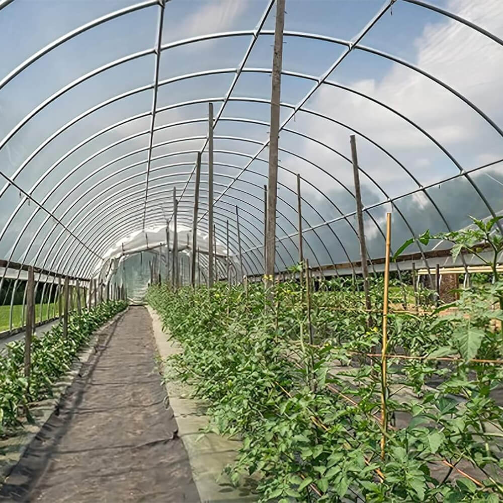 סרט חממה מפלסטיק פוליאתילן