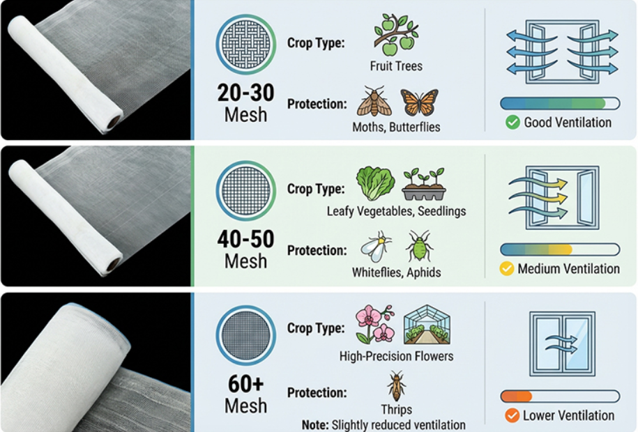 רשת נגד חרקים