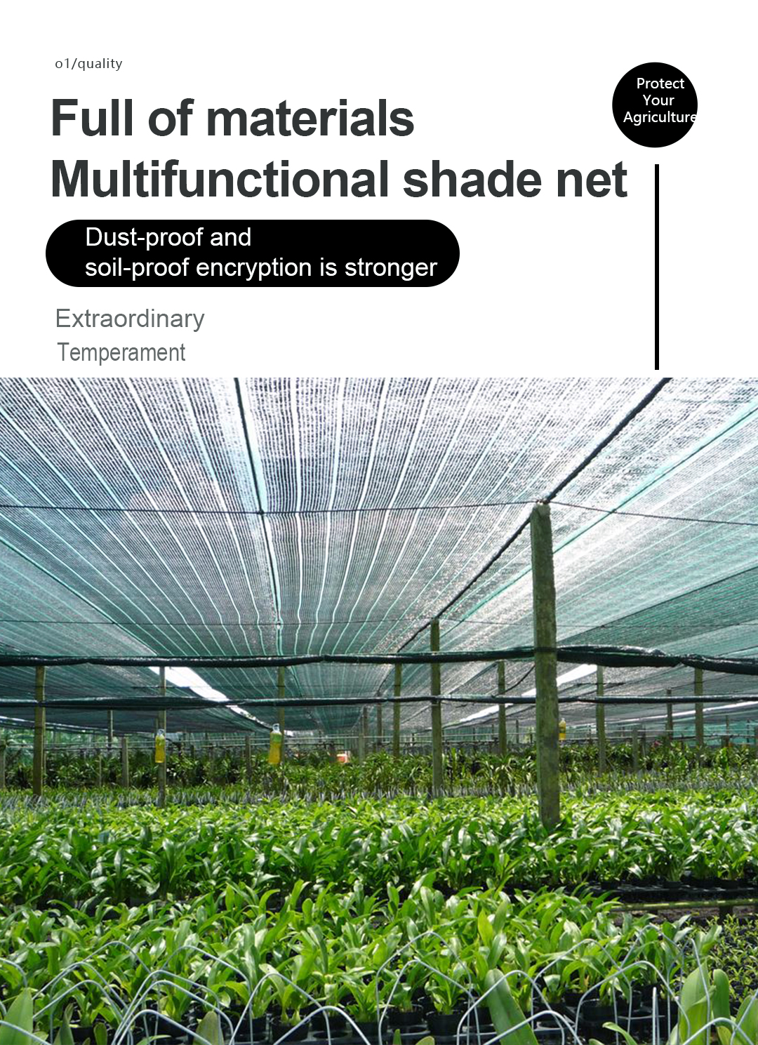 shade net רשת צל