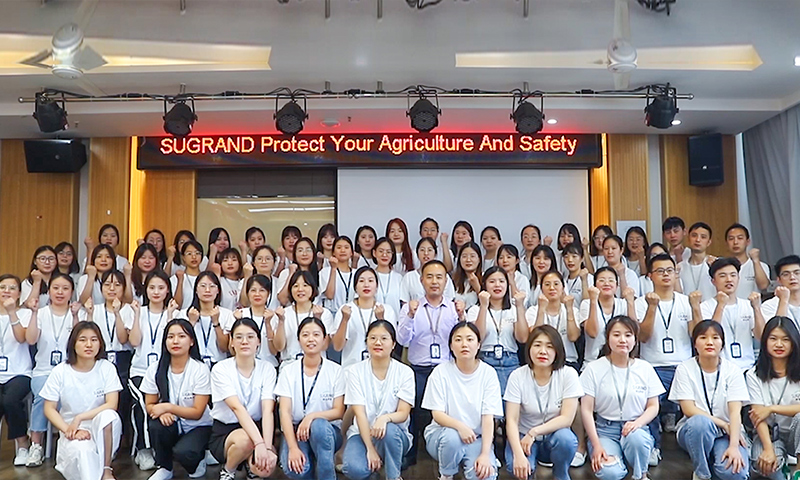 רשת פיגומים