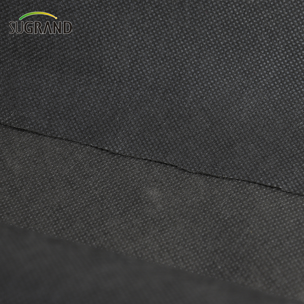 מחיר מפעל ביו ביו מעצבן בדים שאינם ארוגים שחור 50 ג'יגה הבד שאינו ארוג