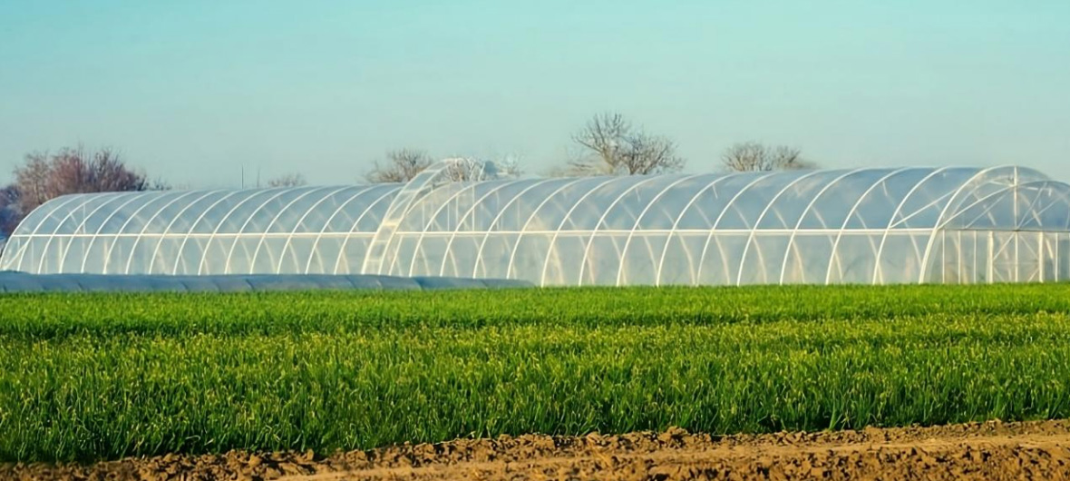 חפי גרנד רשתות ושות', בע'מ