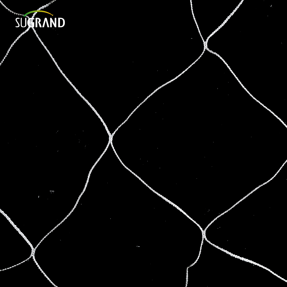 צמח ניילון לבן סיטונאי תומך בטרליס רשת 5x15 רגל גינה 6 'רשת לטיפוס