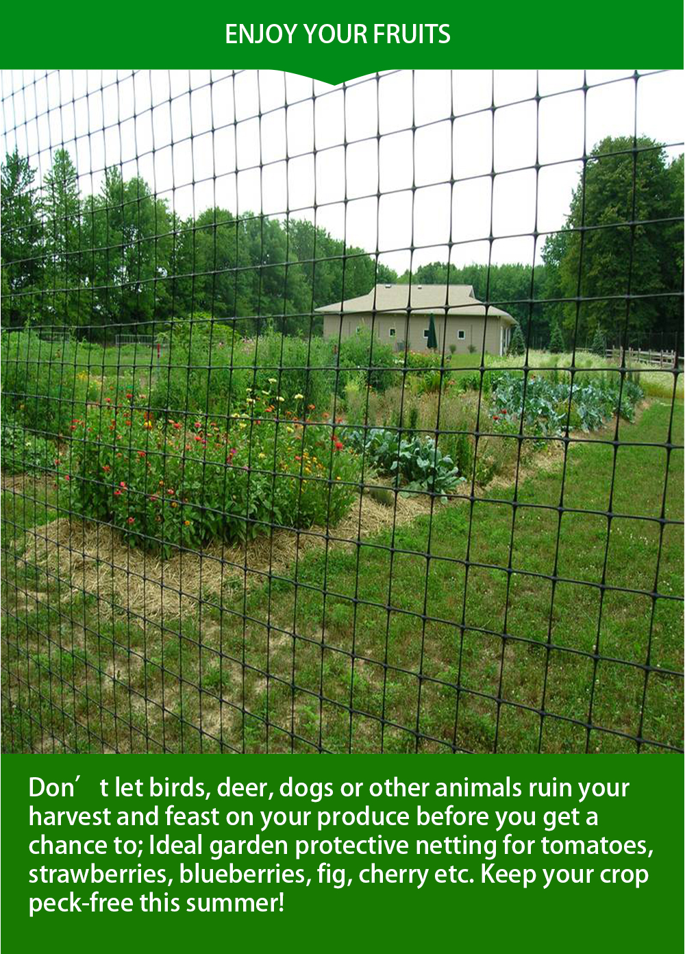 רשת נגד שומות11