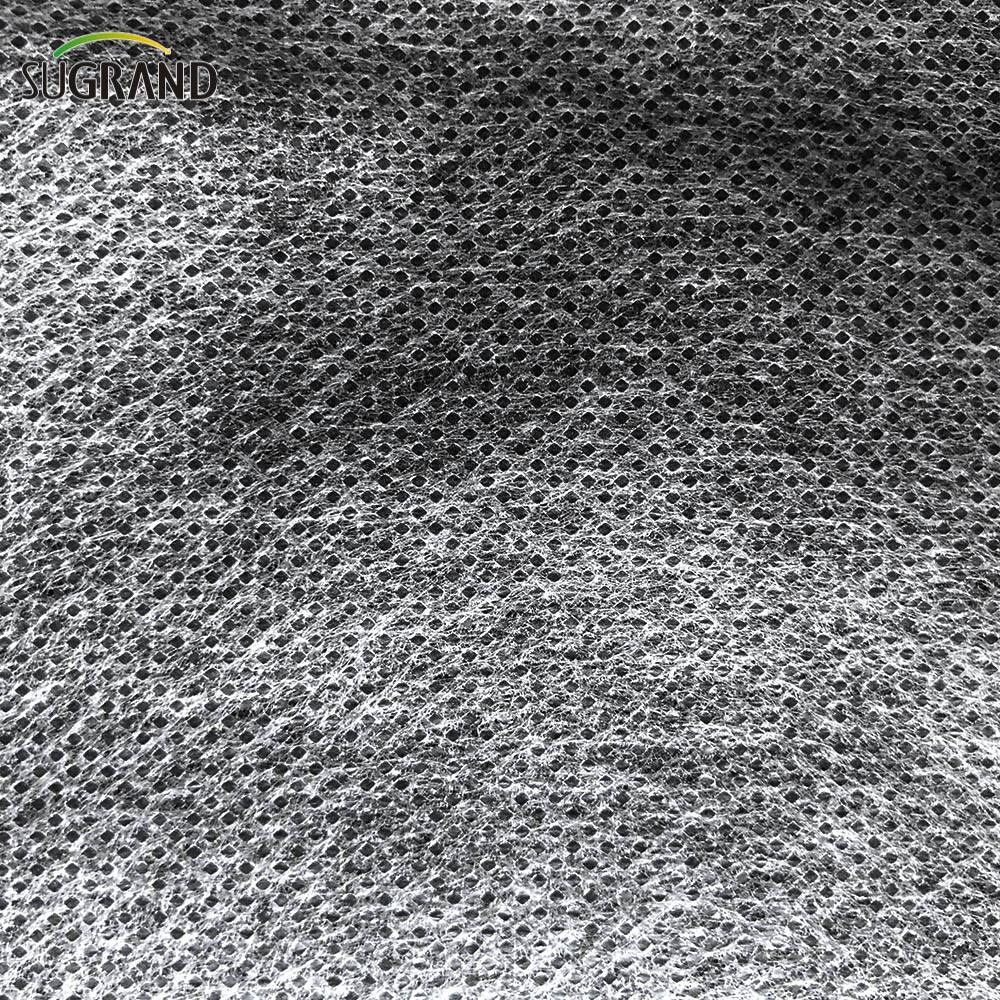 PP בד לא ארוג לשליטה על עשבים נוף