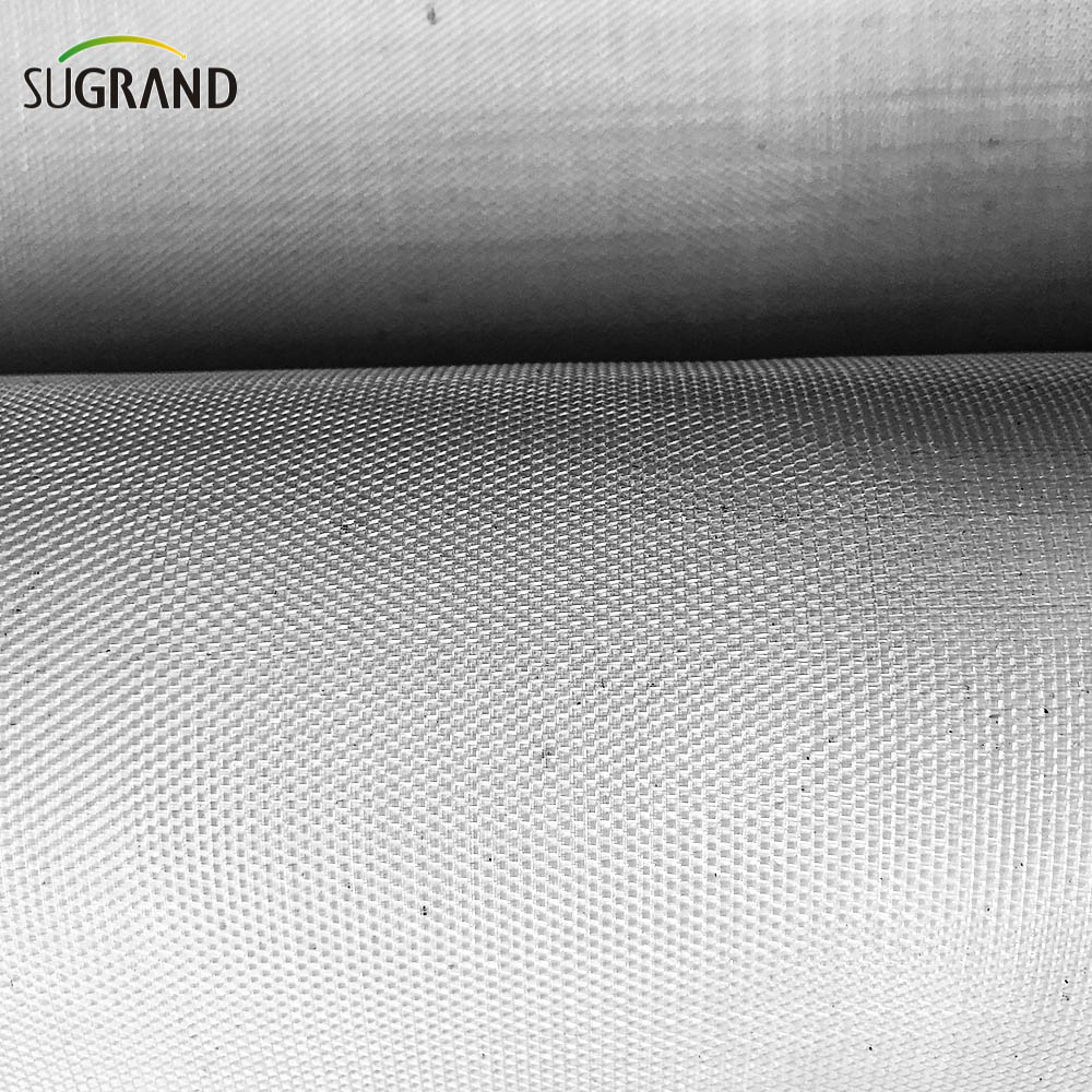 80 ג'יגה -ק'ג שקוף נטו חרקים/רשת יתושים