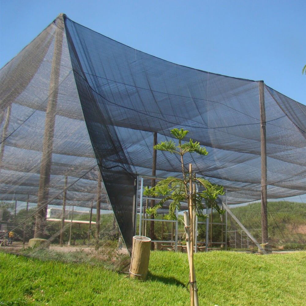 כיצד להגדיר רשת ברד?