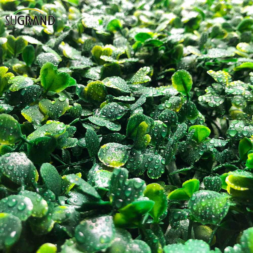 גדר עלים מלאכותיים PVC גדר מלאכותית דשא מלאכותי מזויף