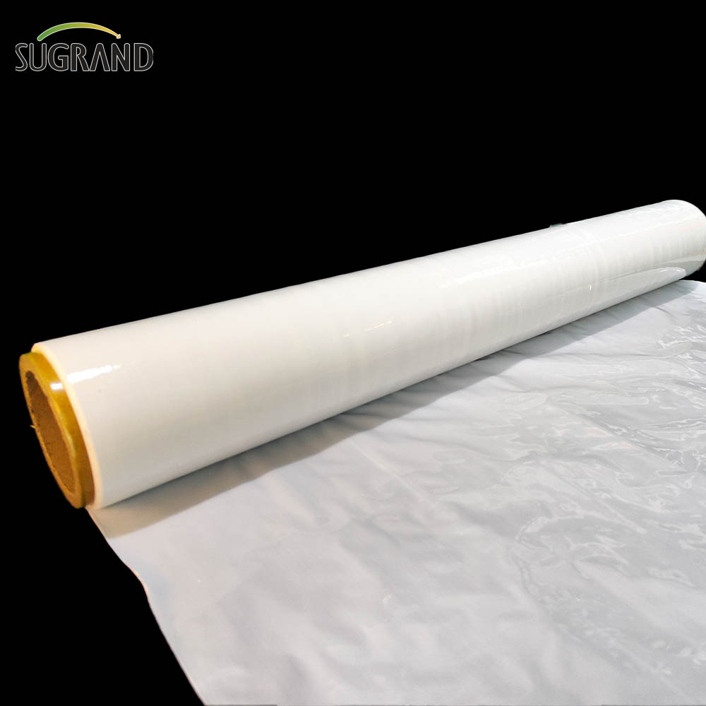 סרט תחמיץ סרט מתיחה לבן / שחור