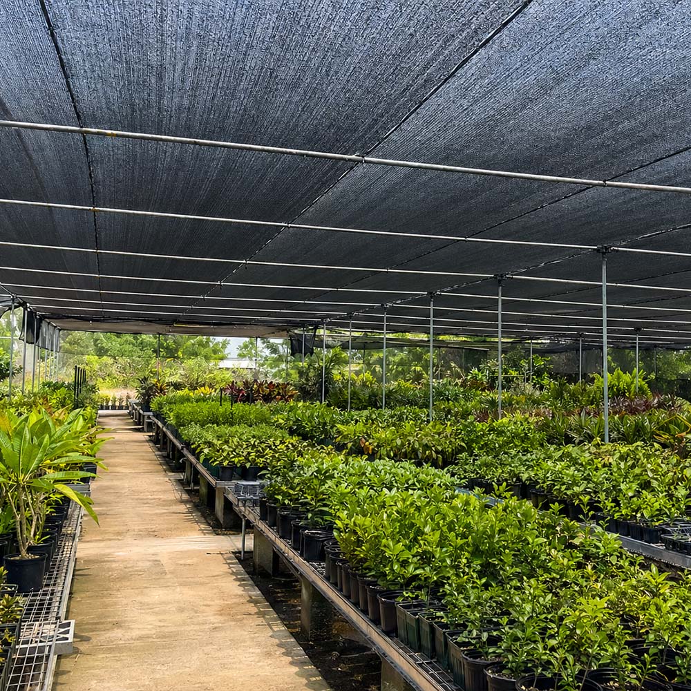 מדריך בחירת Shade Net לרוכשים סיטונאיים B2B