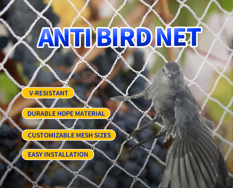 רשת אנטי ציפורים מסושכת