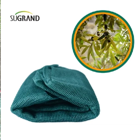 יישומים מקיפים של רשתות זית