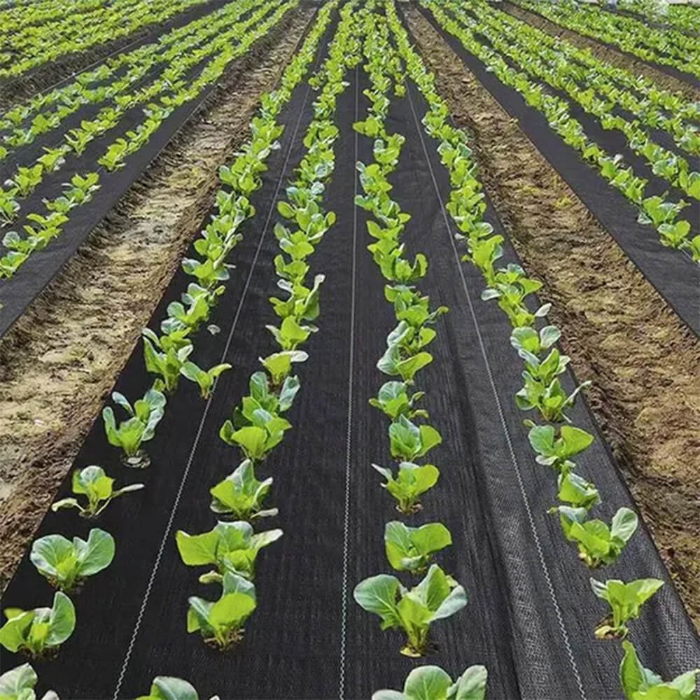 ירוק כהה כיסוי קרקע נוף בד מפעל
