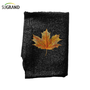 80 גרם ירוק ושחור שש מחטים נטו