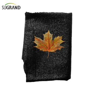 80 גרם ירוק ושחור שש מחטים נטו