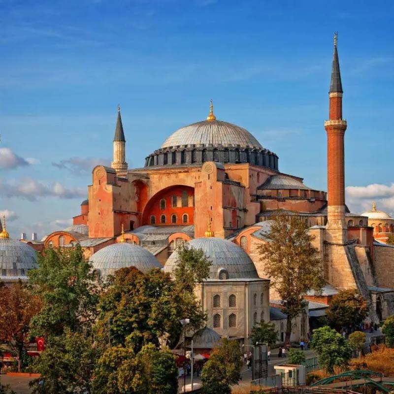 GROWTECH מדריך לבחירת ספקים באנטליה