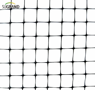 רשת ציפורים