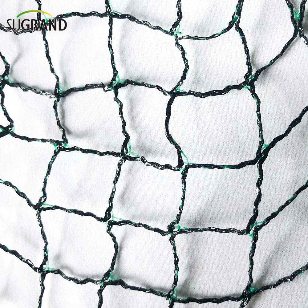 רשת ציפורים לעצי פרי רשת יונה שחורה וירוקה