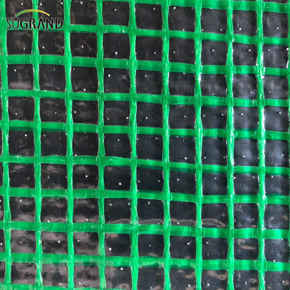 רשת ברזנט בטיחות רשת רשת רשת PE PE TARPAULIN