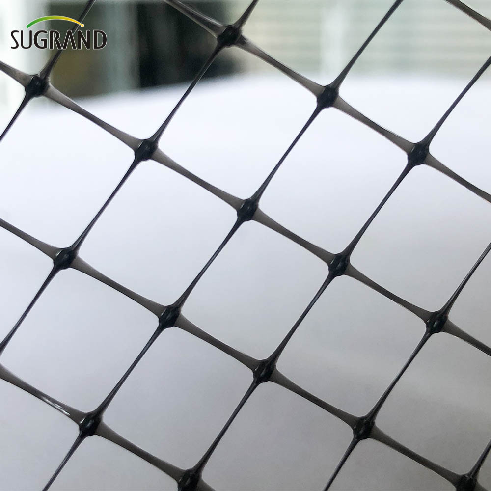 ערפל ציפורים שחור נטס ספקי נטו נגד ציפור