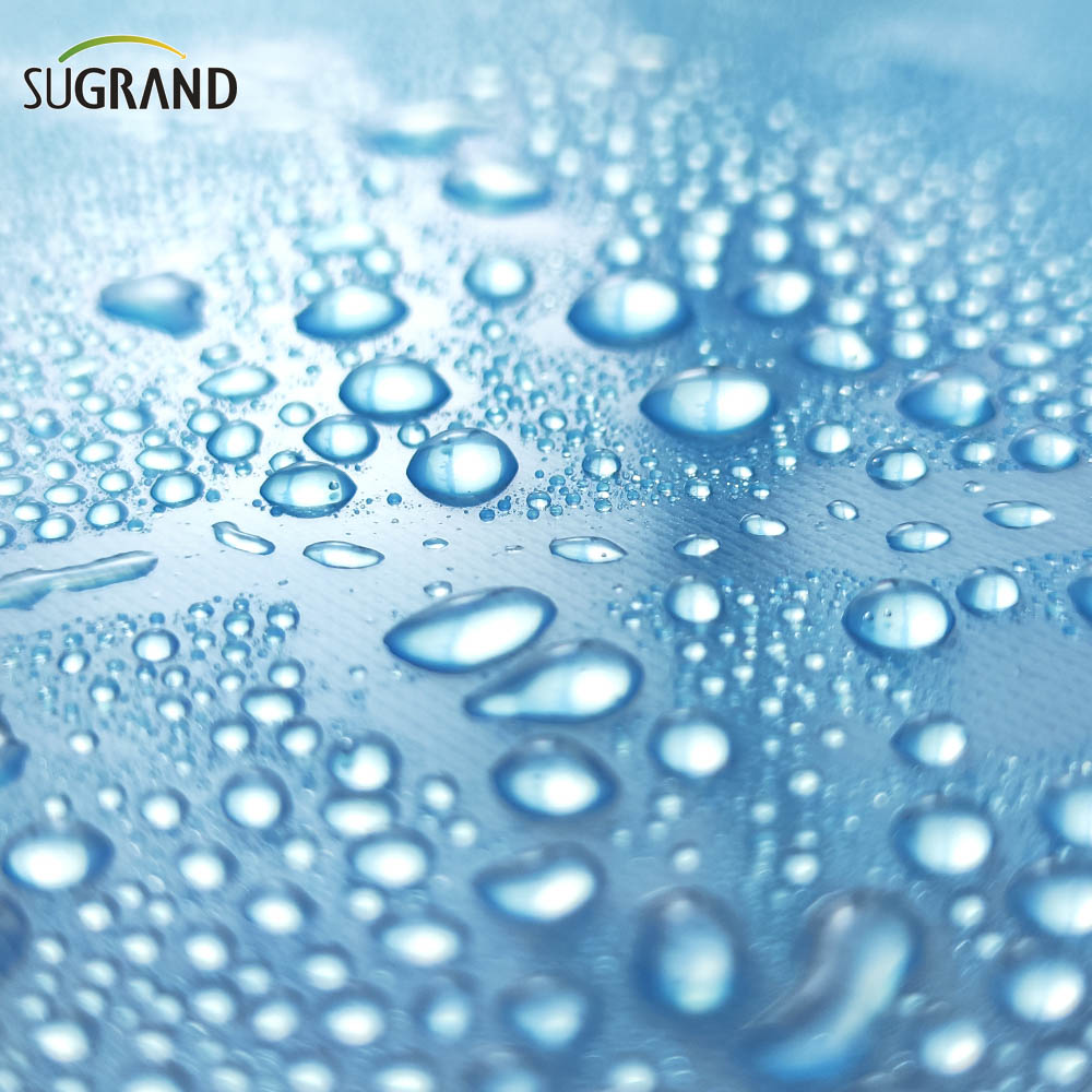 150 מיקרון-250 מיקרון UV שקוף פוליאתילן חממה סרט יריעות פלסטיק לחממה Pe