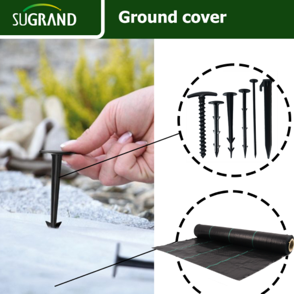 כלי פנטסטי להילחם בעשבים שוטים