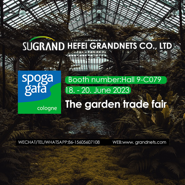 גרמניה גאפה-ספוגה מגיעה!