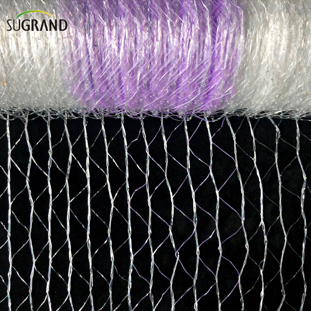 רשת חבילות משטחים