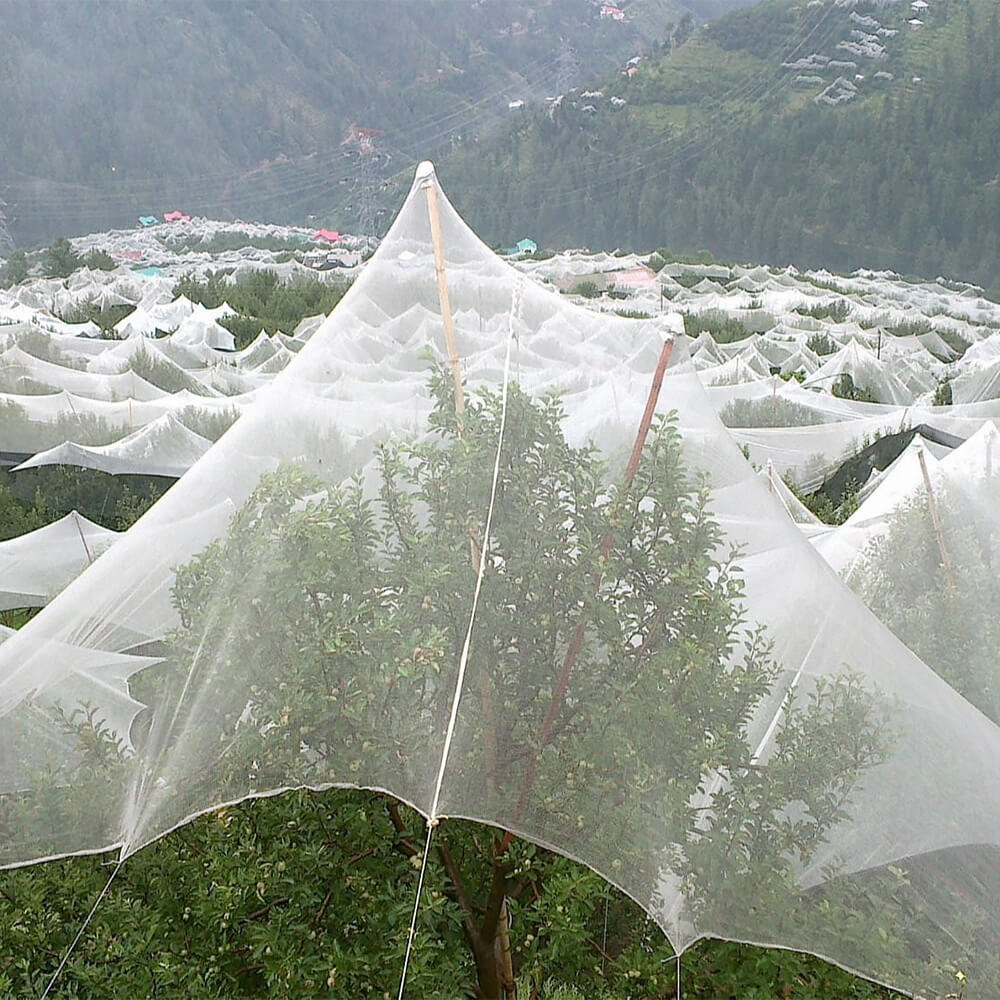 רשת ברד פרימיום סרוגה לכרמים