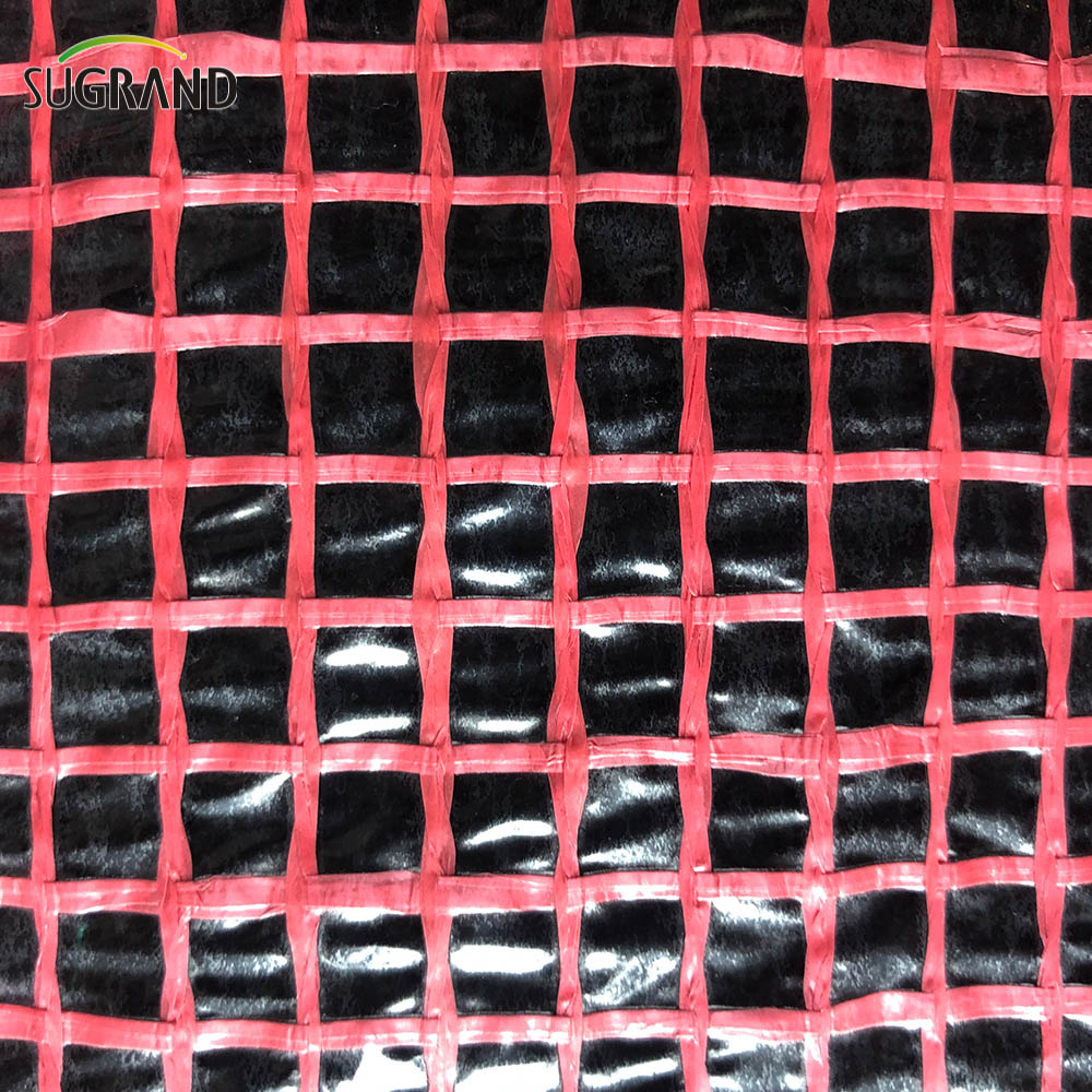 פיגום פלסטיק יריעות רשת שקופות