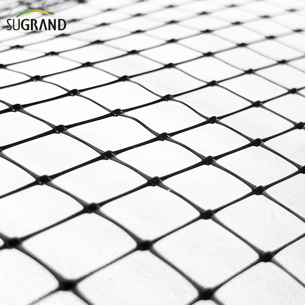 ערפל ציפורים שחור נטס ספקי נטו נגד ציפור