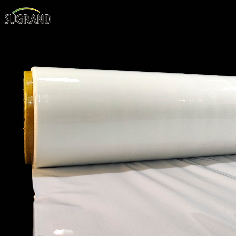 סרט תחמיץ סרט מתיחה לבן / שחור