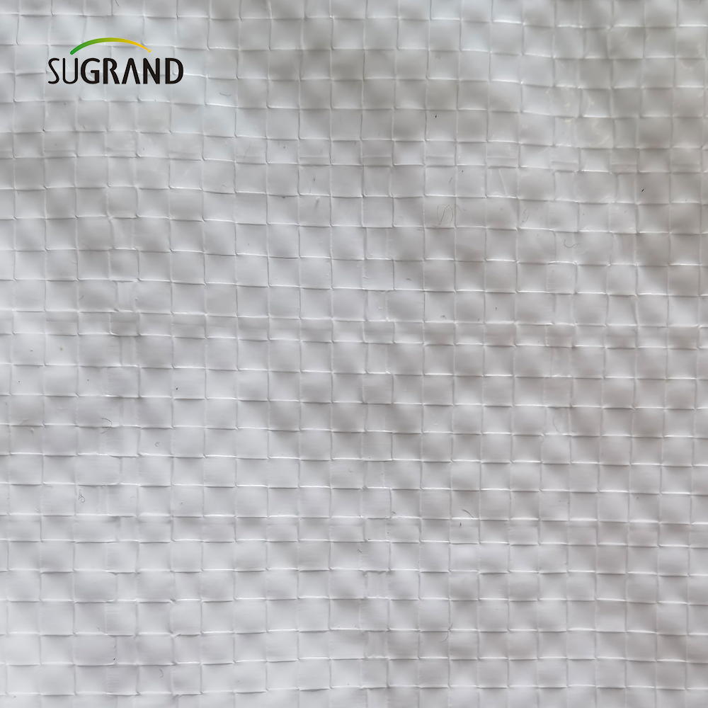 מפעל ישיר סיטונאי לבן פלסטי