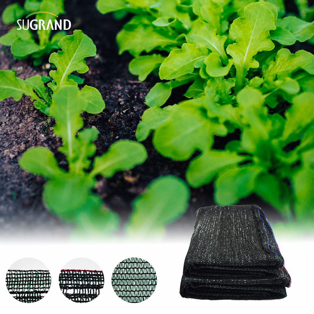 שישה מחטים קלטת קלטת שחורה נטו