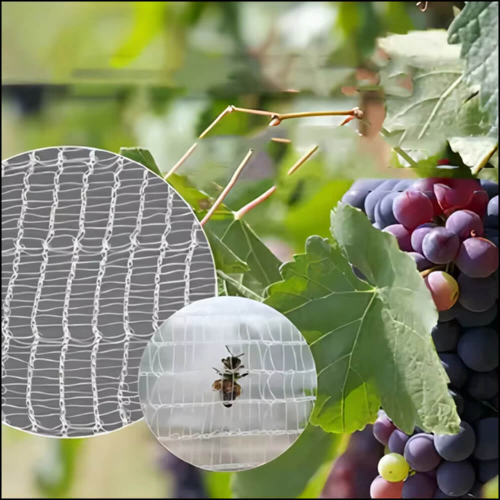 חברת נטו נגד דבורים