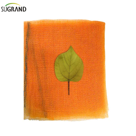 רשת פיגומים