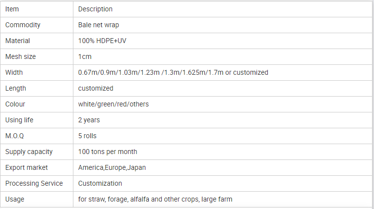 רשת חבילות 6