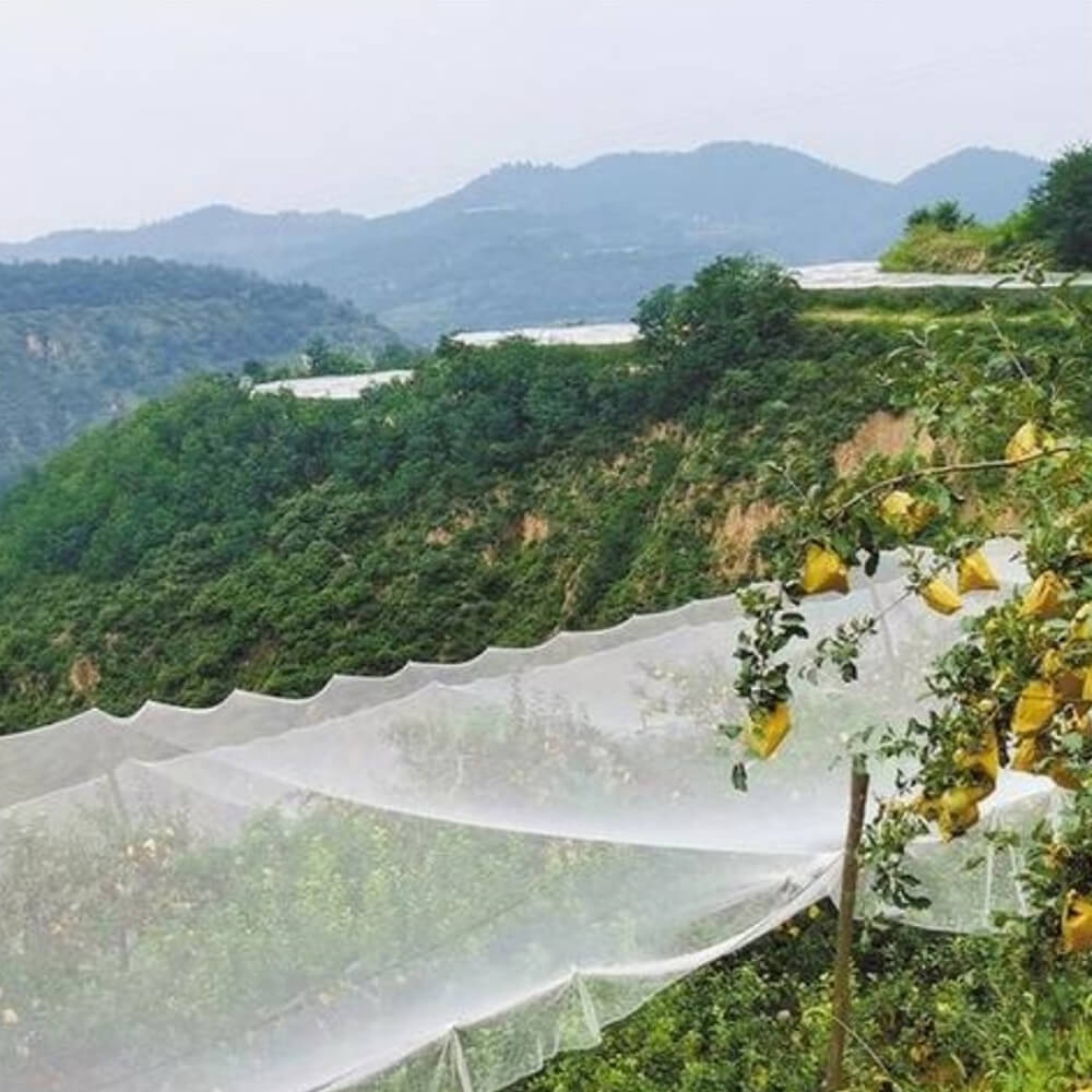 רשת ברד פרימיום סרוגה לכרמים