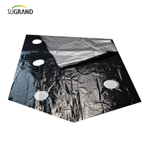 סרט מאלץ מחורר מפלסטיק UV Mulch Summ 