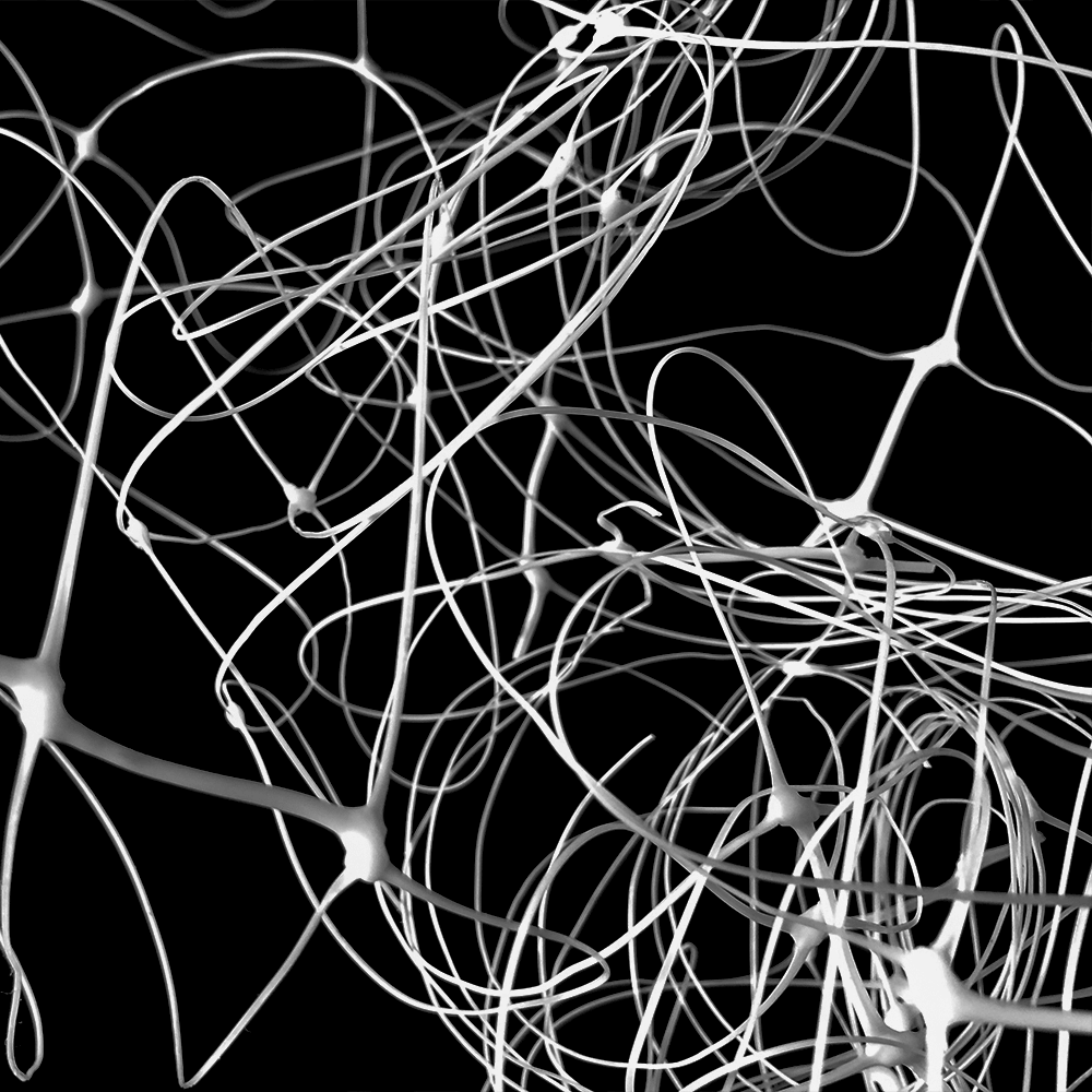 תמיכה בצמח נטו גן טרליס לטיפוס על צמחי חוץ