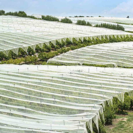 fruit insect net manufacturer.png