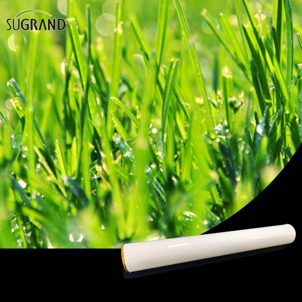 סרט תחמיץ סרט מתיחה לבן / שחור