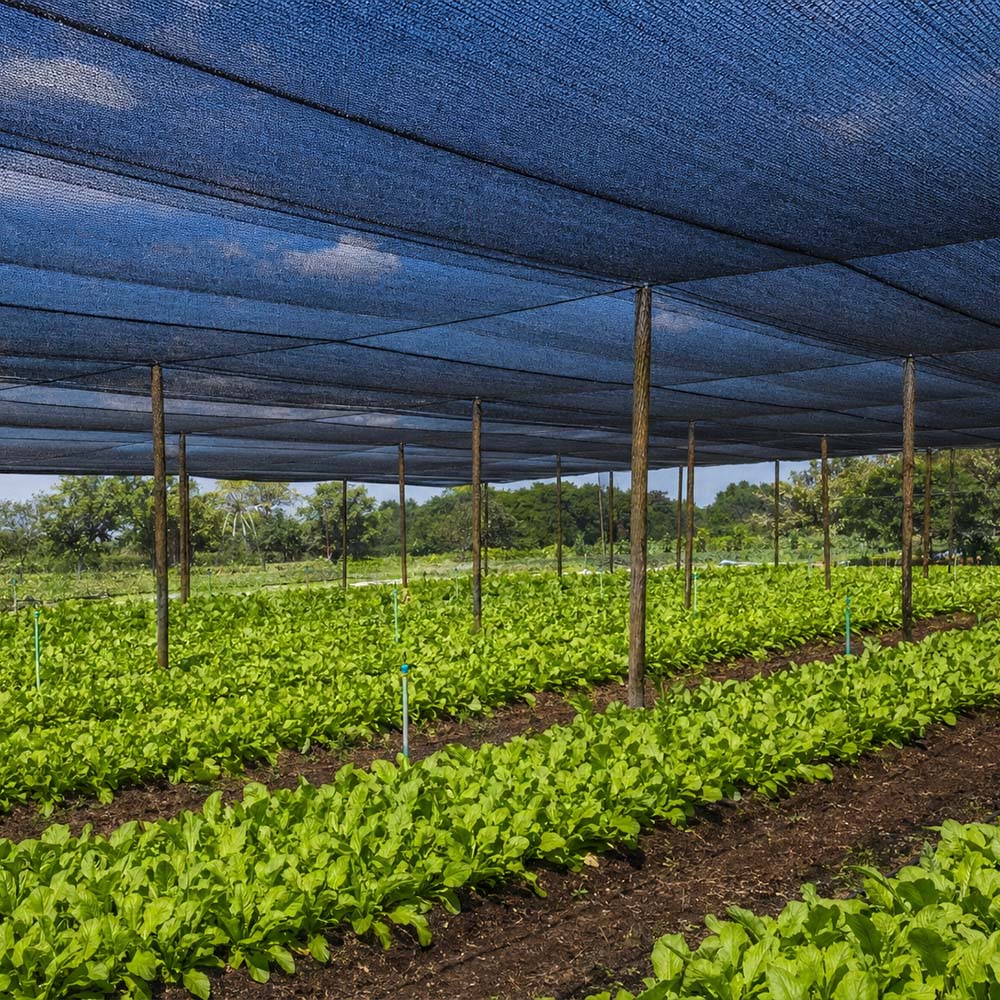 סיטונאי HDPE סרוג מונו שחור גוון נטו
