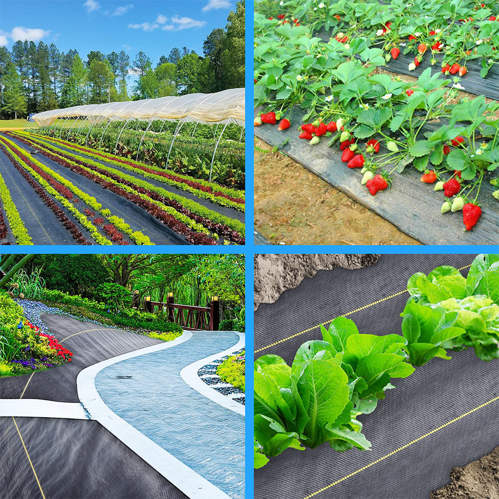 מחסום עשבים ארוגים של פוליפרופילן (PP)