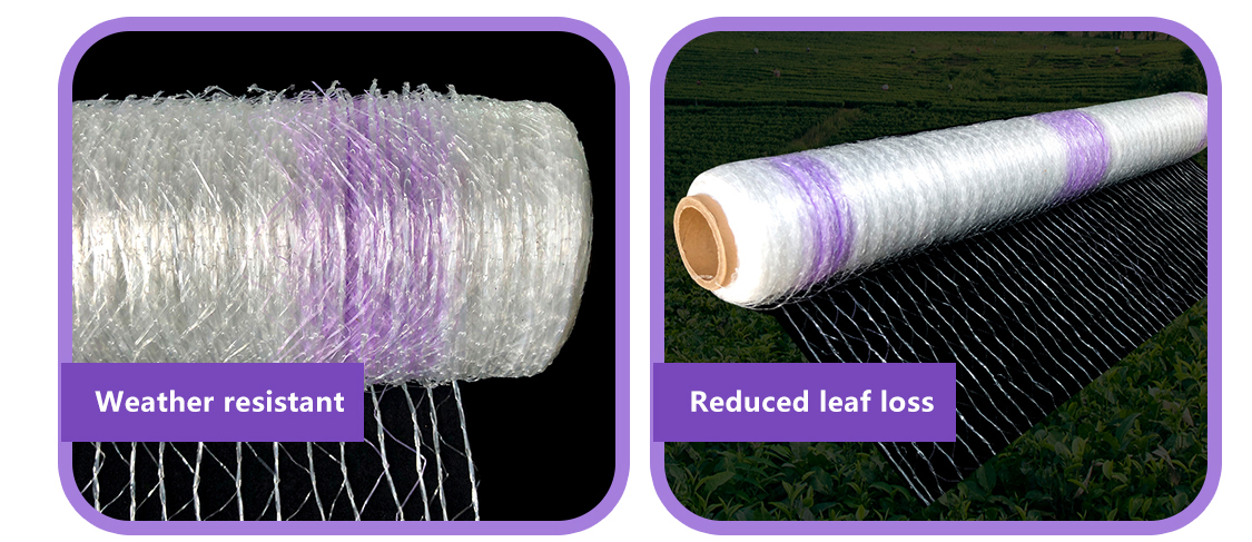 רשת חבילות 5