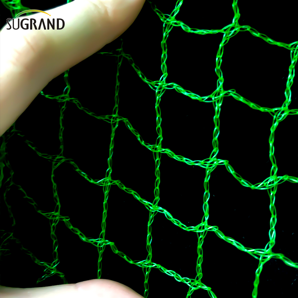 רשת ציפורים ירוקה ארוגה 10 מ'מ-30 מ'מ לתפוס ציפורים