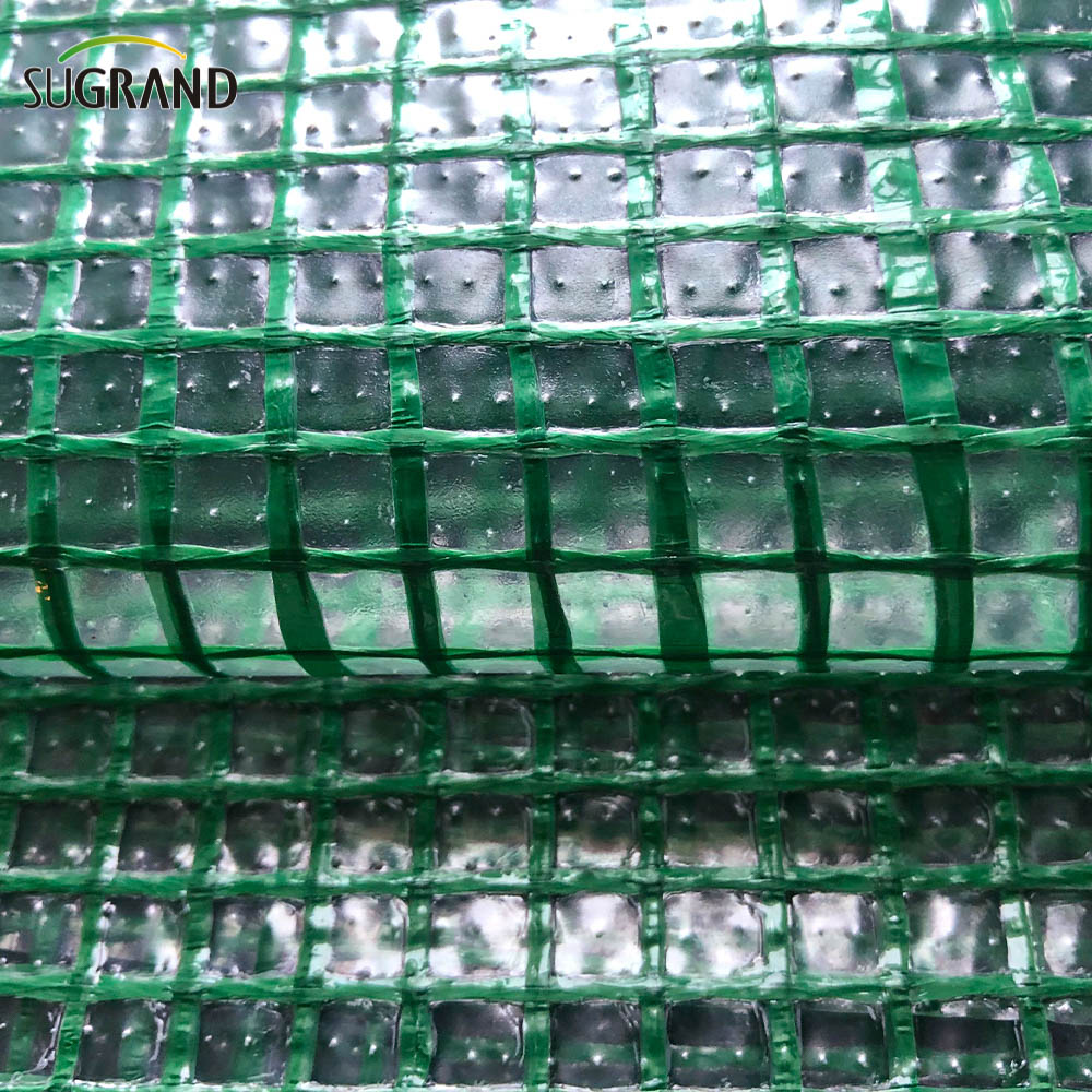 רשת ברזנט בטיחות רשת רשת רשת PE PE TARPAULIN